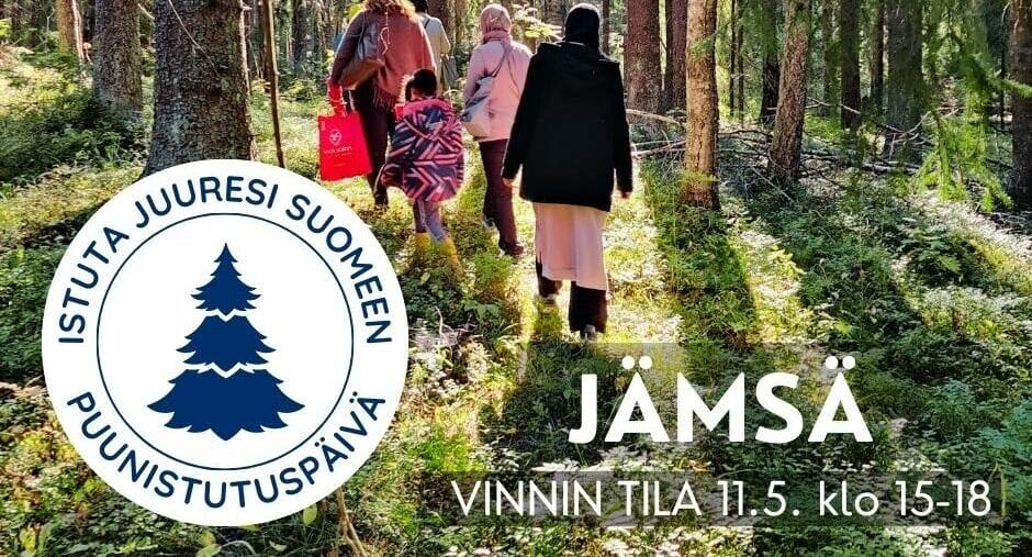 Puiden istutusta Jämsän alueen maahanmuuttajille - Jämsän kaupunki